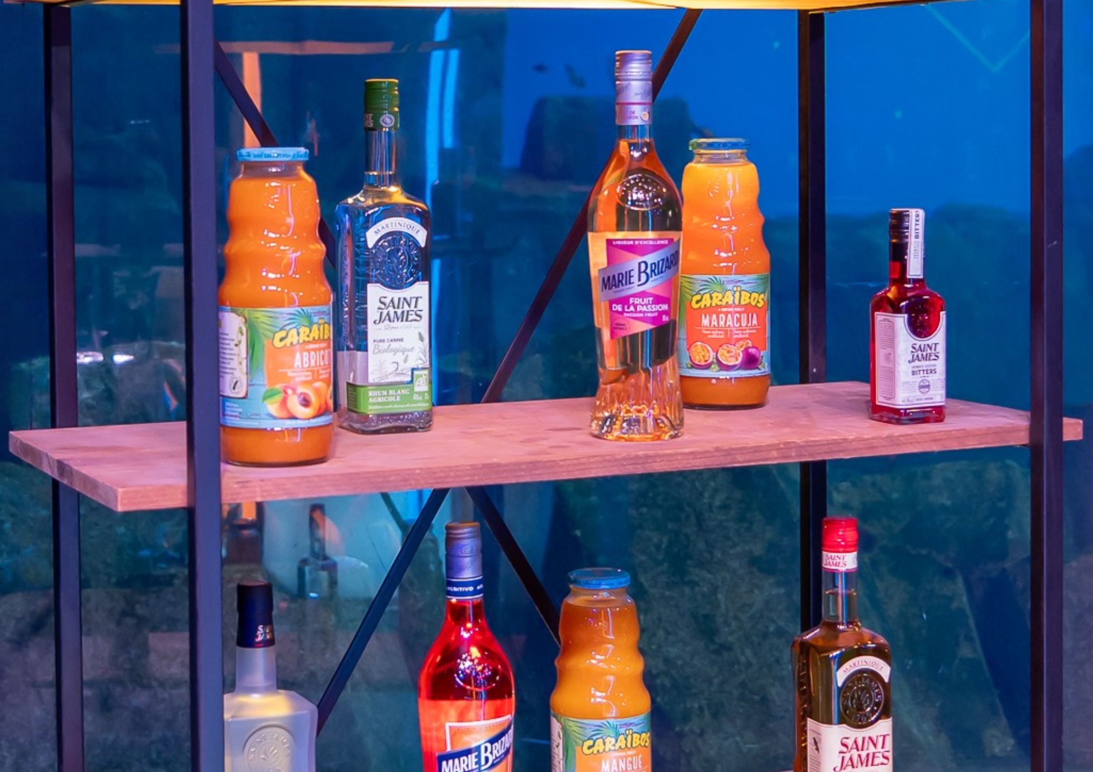 Découvrez la gamme BLMHD