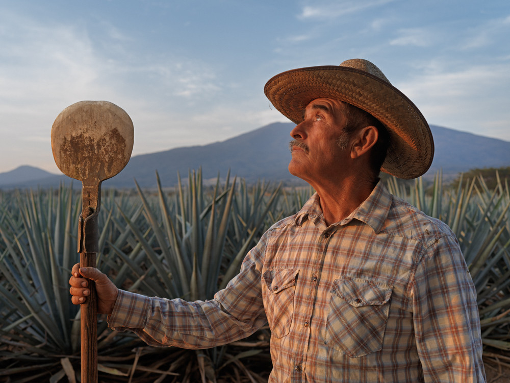 Note de dégustation