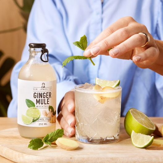 Sir. James 101 - Image supplémentaire