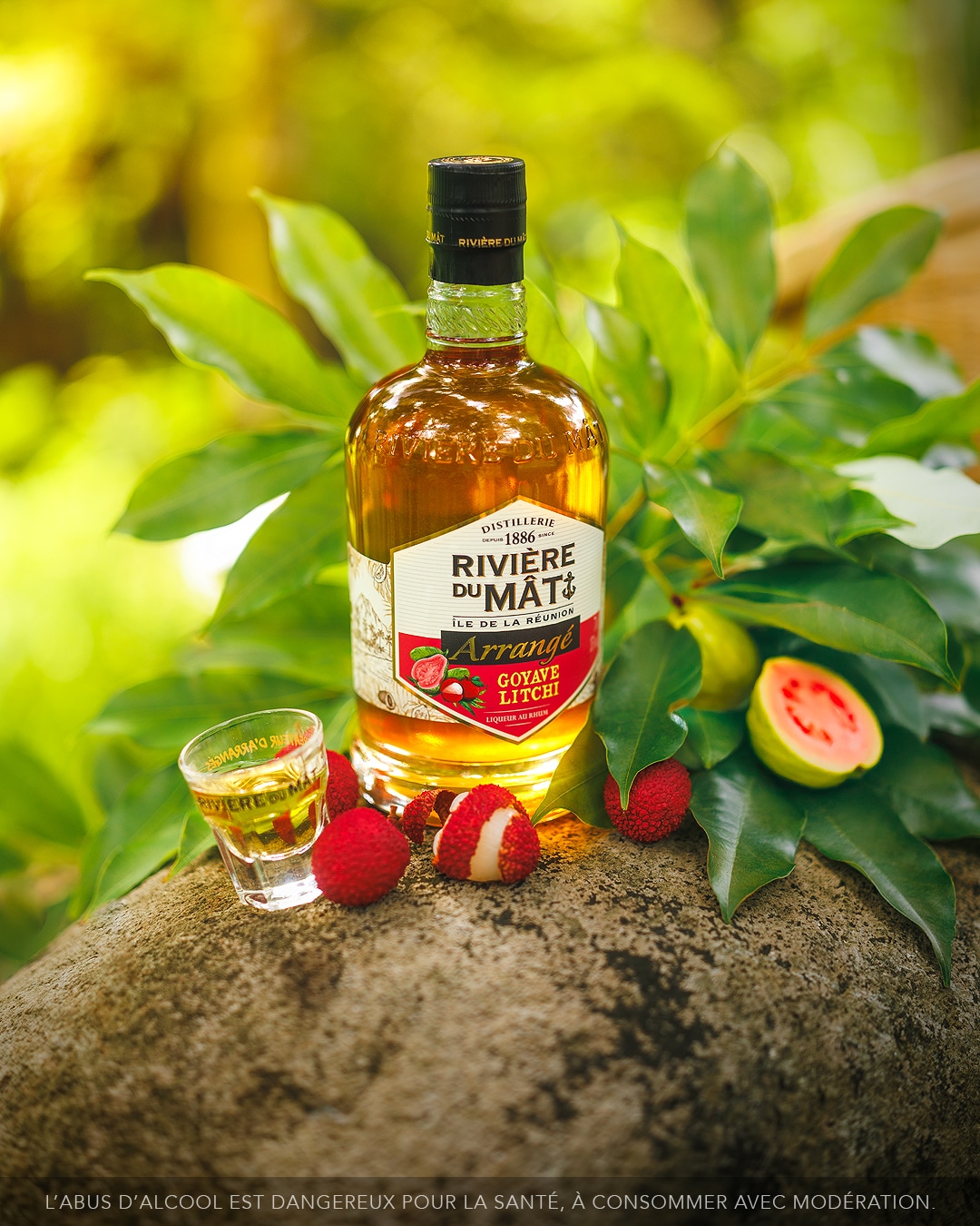 Note de dégustation