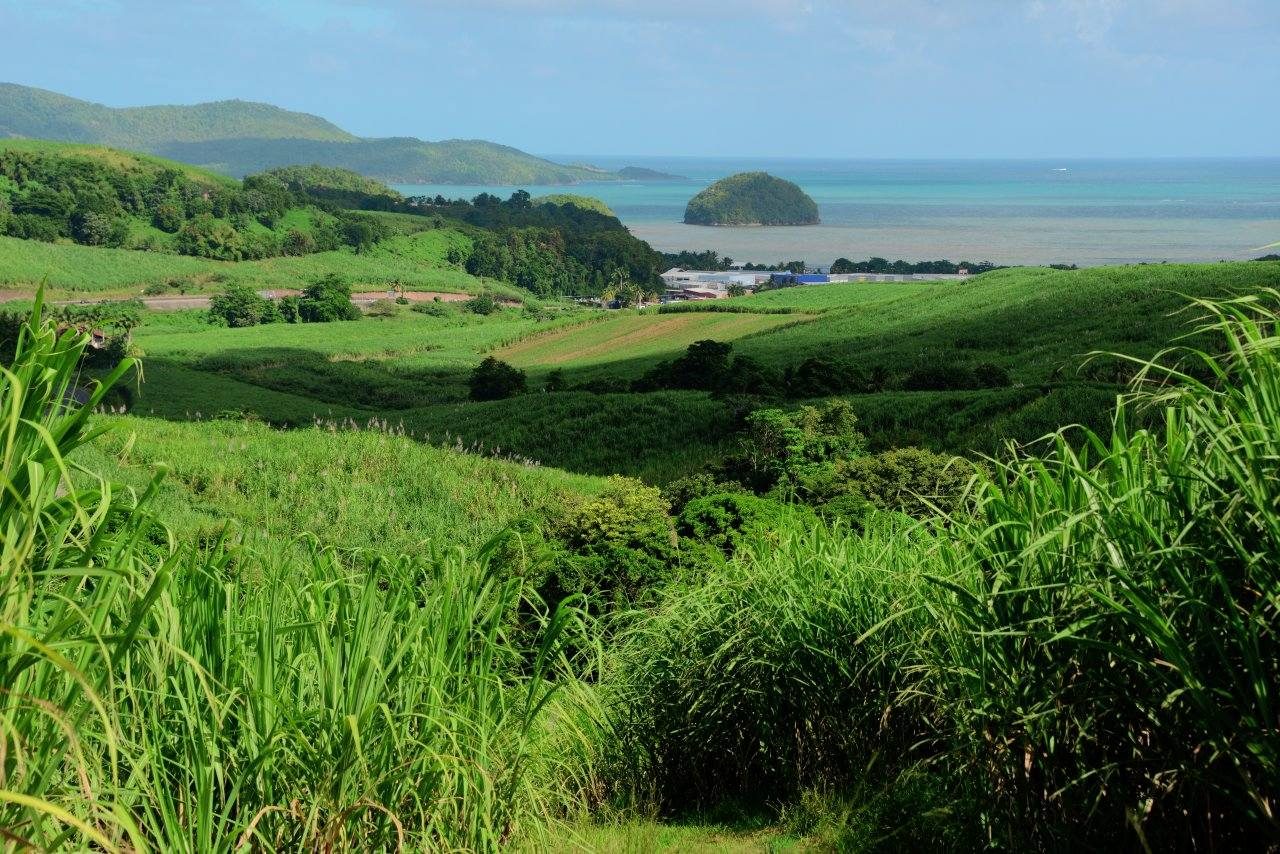 Préserver l’environnement