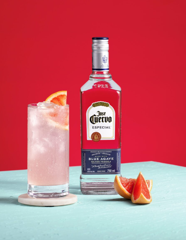 Cuervo Paloma